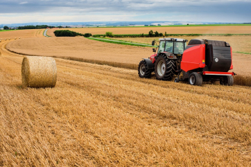Крупнейшая зерновая держава ЕС потеряла 11,8 процента урожая